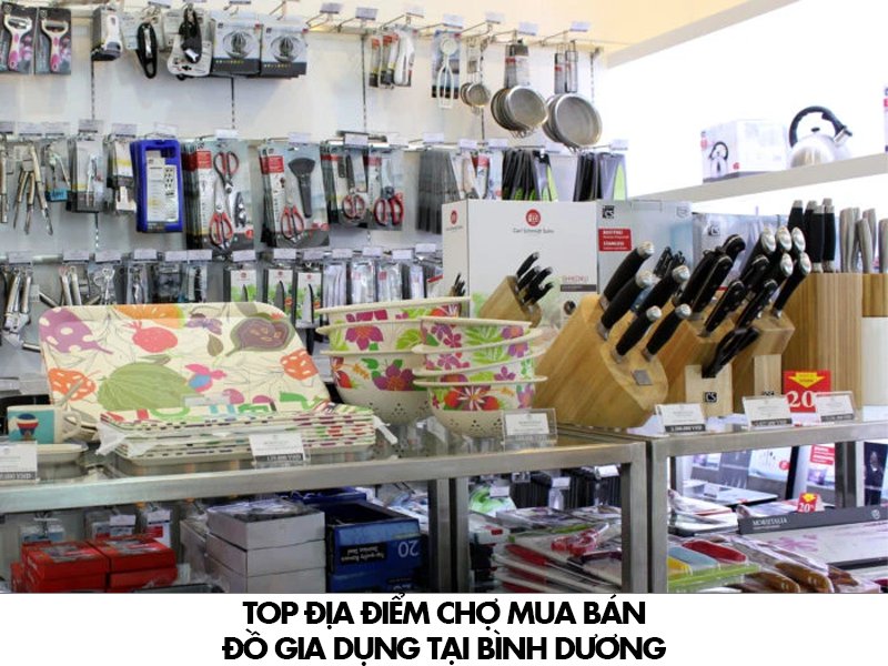 Top địa điểm chợ mua bán đồ gia dụng tại Bình Dương mekoong