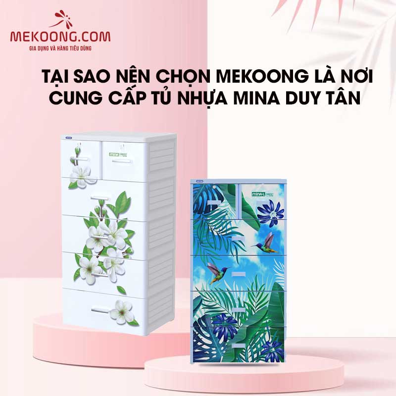 Tại sao nên chọn Mekoong là nơi cung cấp Tủ Nhựa Mina Duy Tân