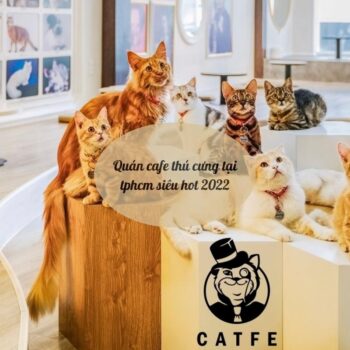 quán cafe thú cưng tại tphcm siêu hot 2022