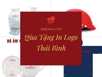 Quà tặng in logo Thái Bình