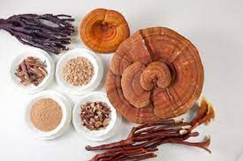 Sản phẩm sức khỏe (nấm, linh chi, đông trùng hạ thảo,...)
