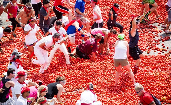 Ý nghĩa của lễ hội cà chua