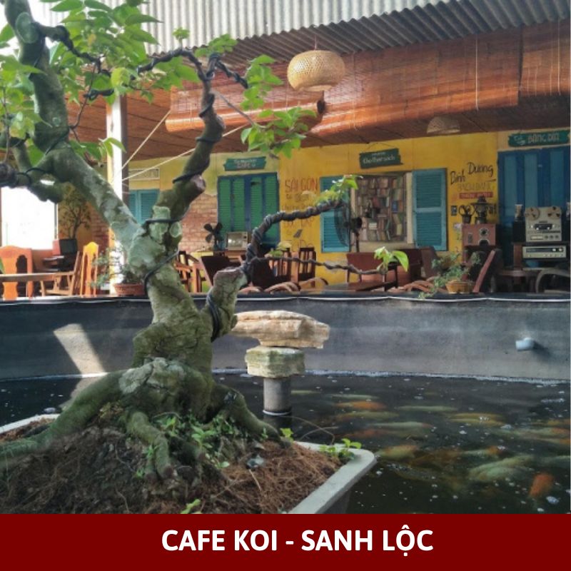 Cafe Koi - Sanh Lộc