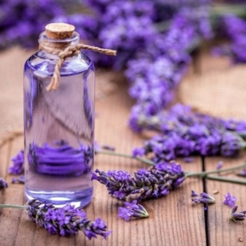 Tinh dầu Oải hương Lavender