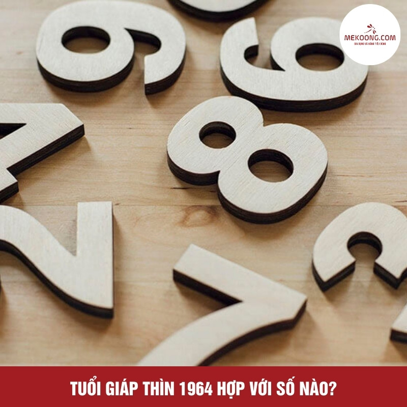 Tuổi Giáp Thìn 1964 hợp với số nào?