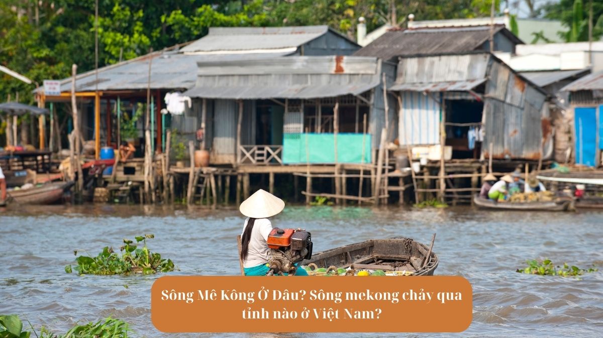 Sông Mê Kông Ở Đâu? Sông mekong chảy qua tỉnh nào ở Việt Nam?
